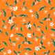 Welcome Clementine on orange small