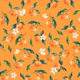Welcome Tangerine ornage