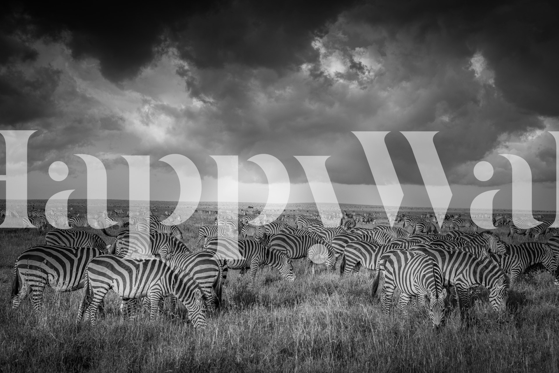 Whimsical wallpaper featuring referees