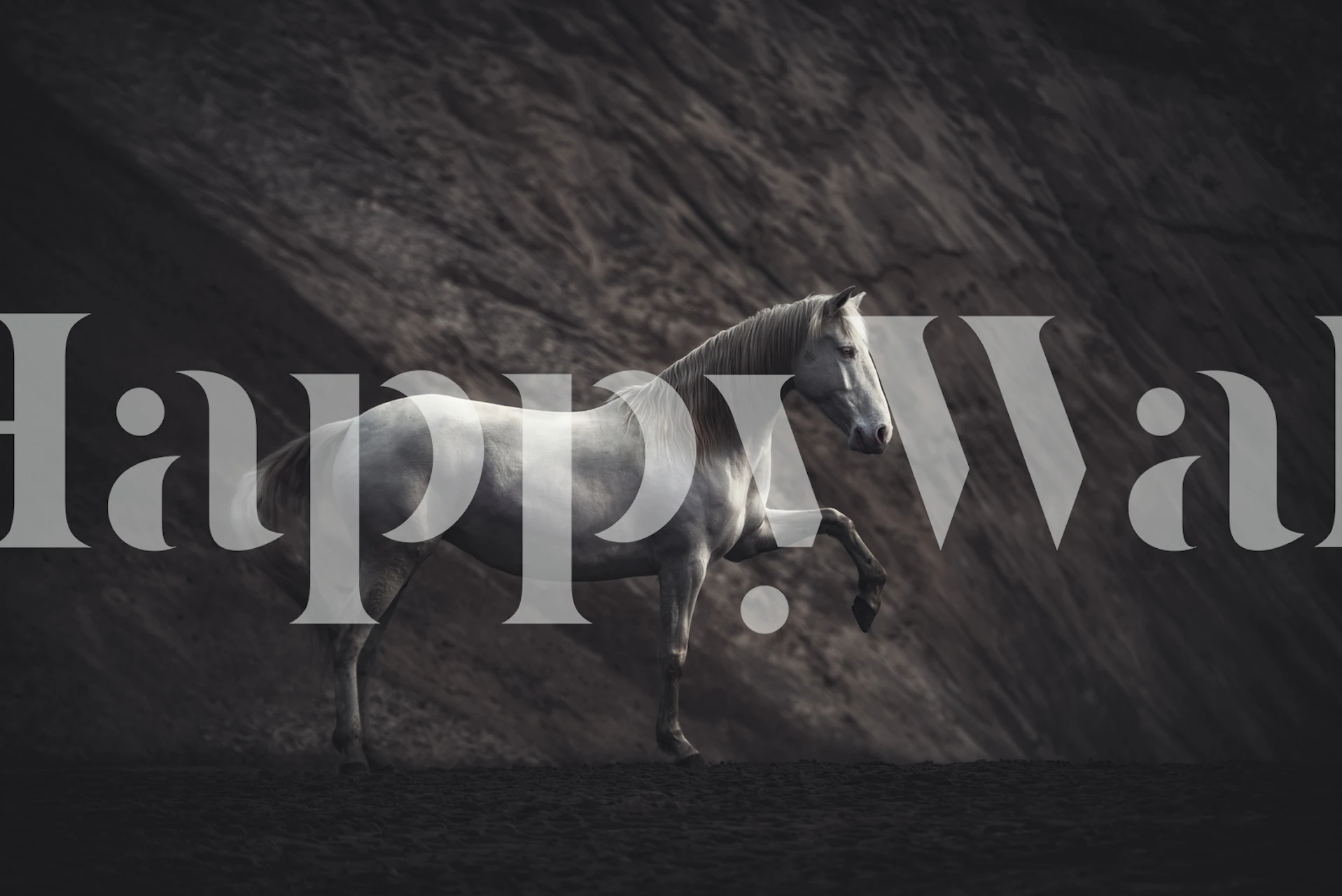 Solitaire wallpaper design in a room