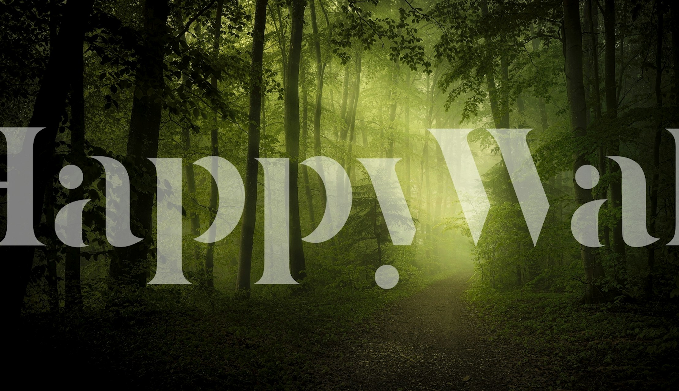 spring secret papel pintado en un entorno forestal