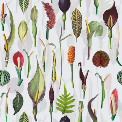 Pattern