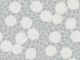 modern hydrangea blooms - grey blue