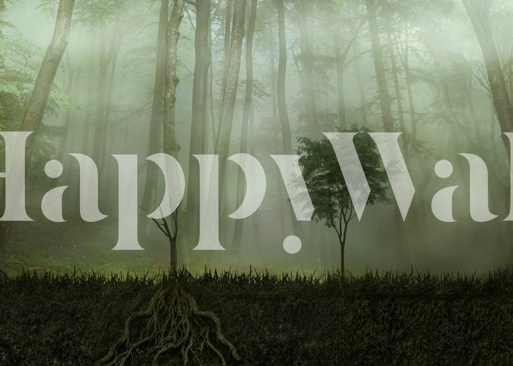 A mystical forest scene with tree roots, fog, and greenery wallpaper