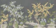 Chinoiserie 13
