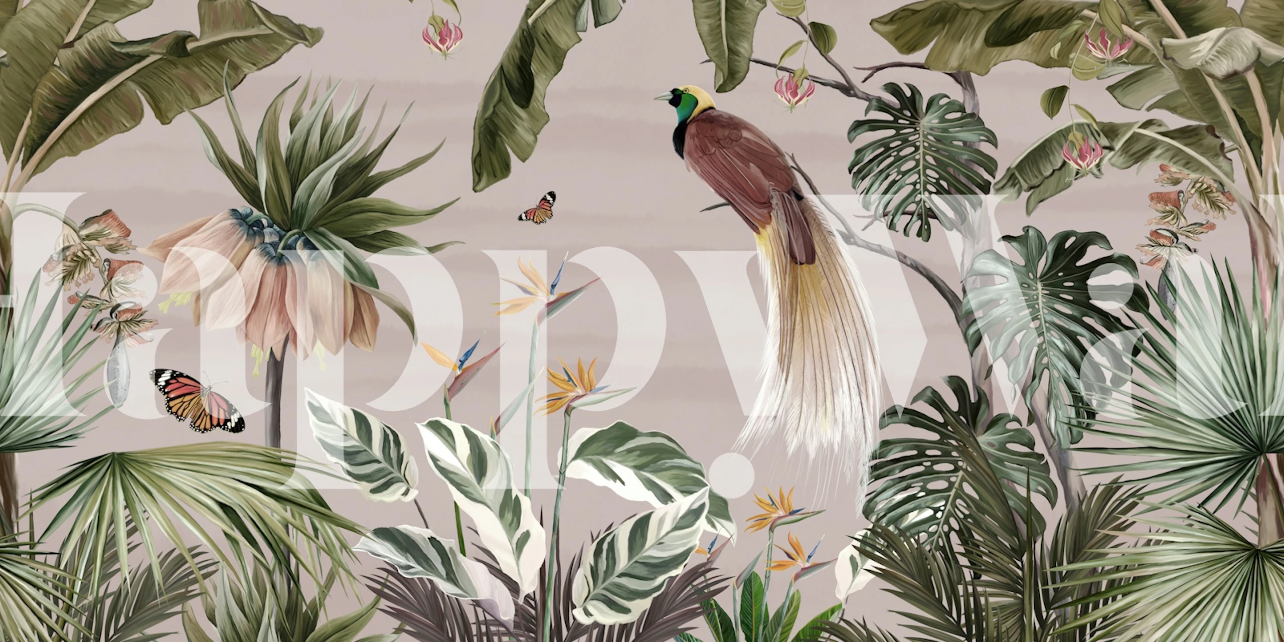 Tropical Flora Dream Pink wallpaper