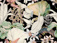 Lively Black Botanicals wallpaper