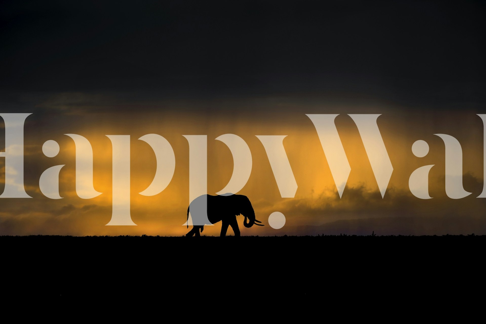Silhouette of an elephant walking under a sunset with rain; dramatic orange and black hues; nature wallpaper
