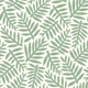 Green Palm Leaves