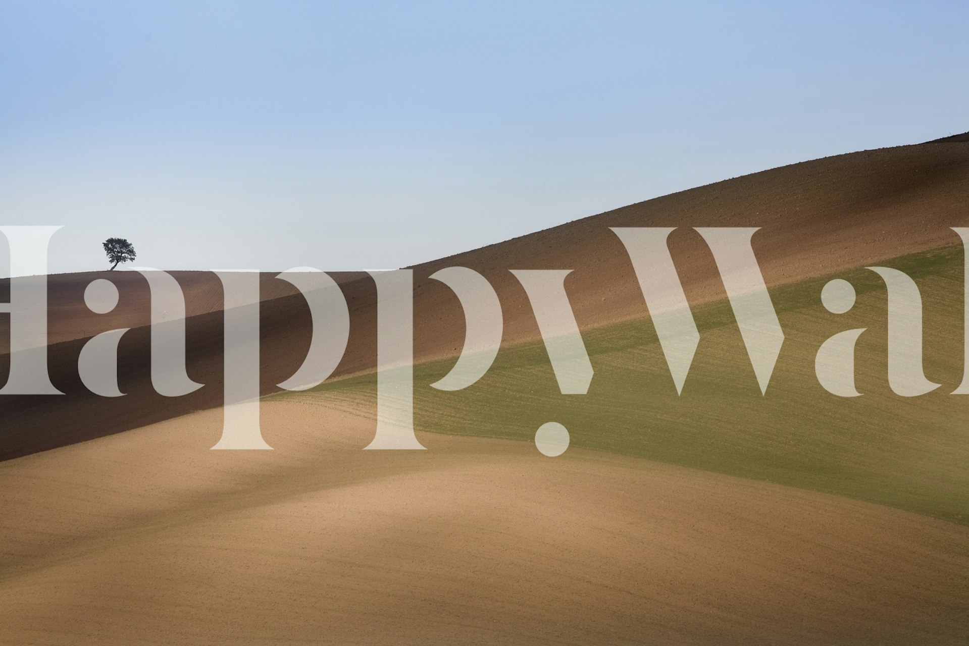 ST 009 papel de parede com colinas suaves e uma árvore