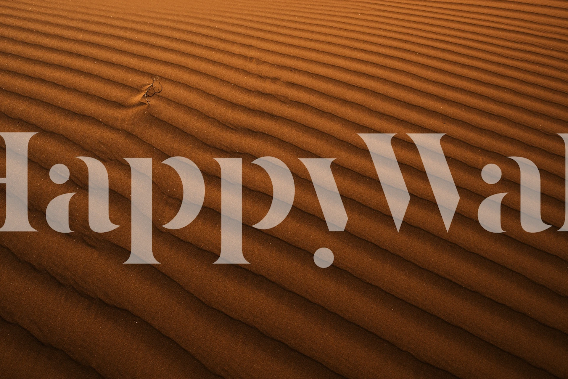 Murais de Areia e Dunas com Linhas Douradas