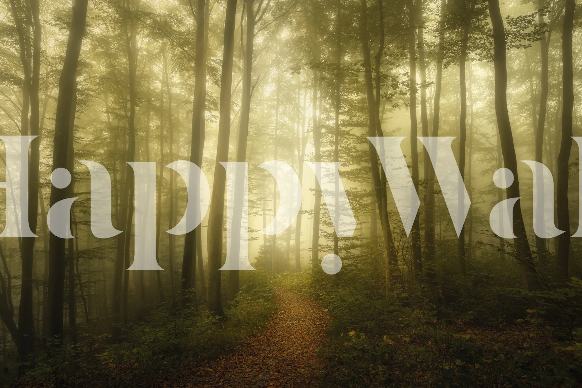 Charm of the ephemeral projekt tapety