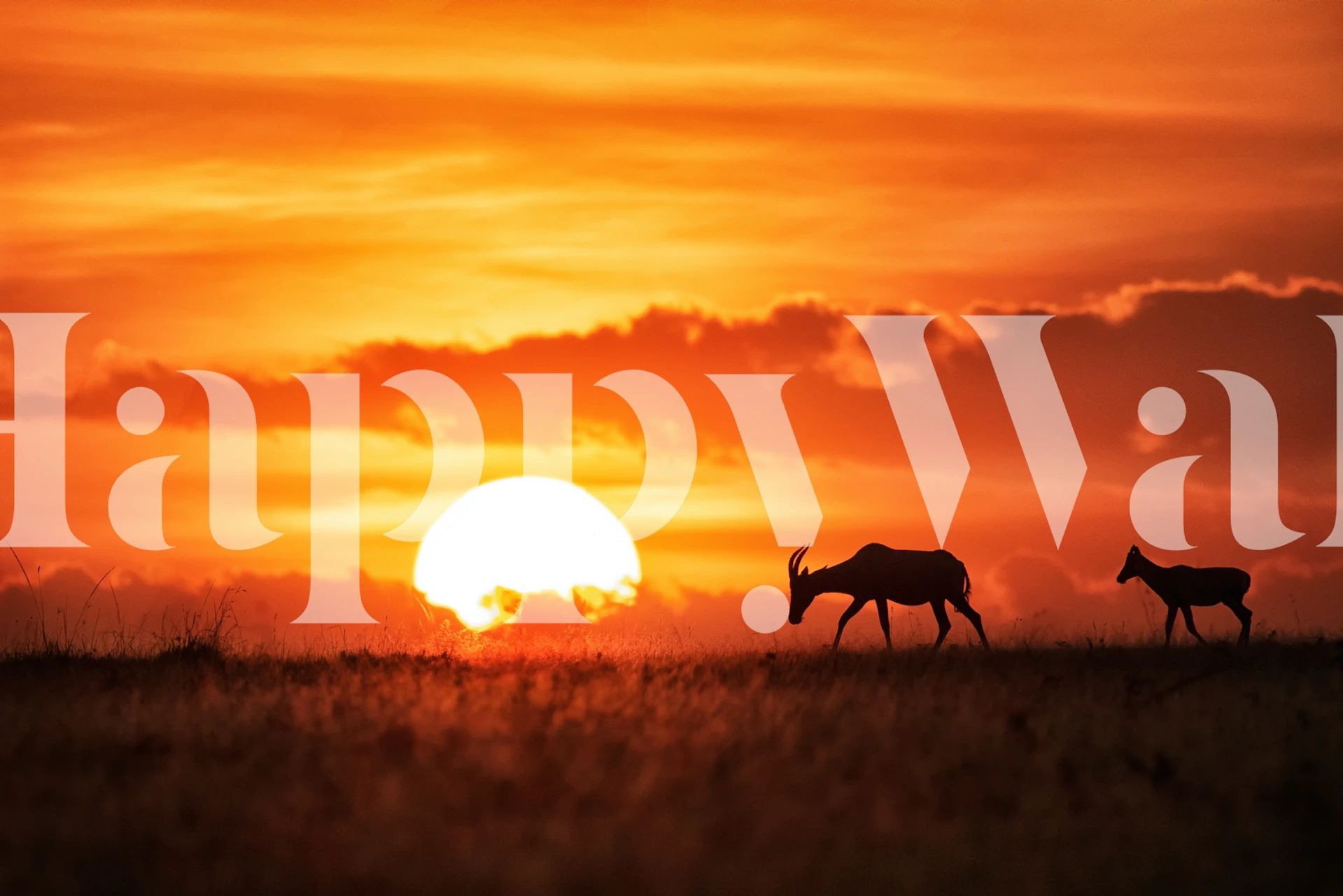 Sunrise at dusk with silhouettes of animals, orange and yellow colors, nature wallpaper