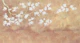 Cherry Blossom Golden