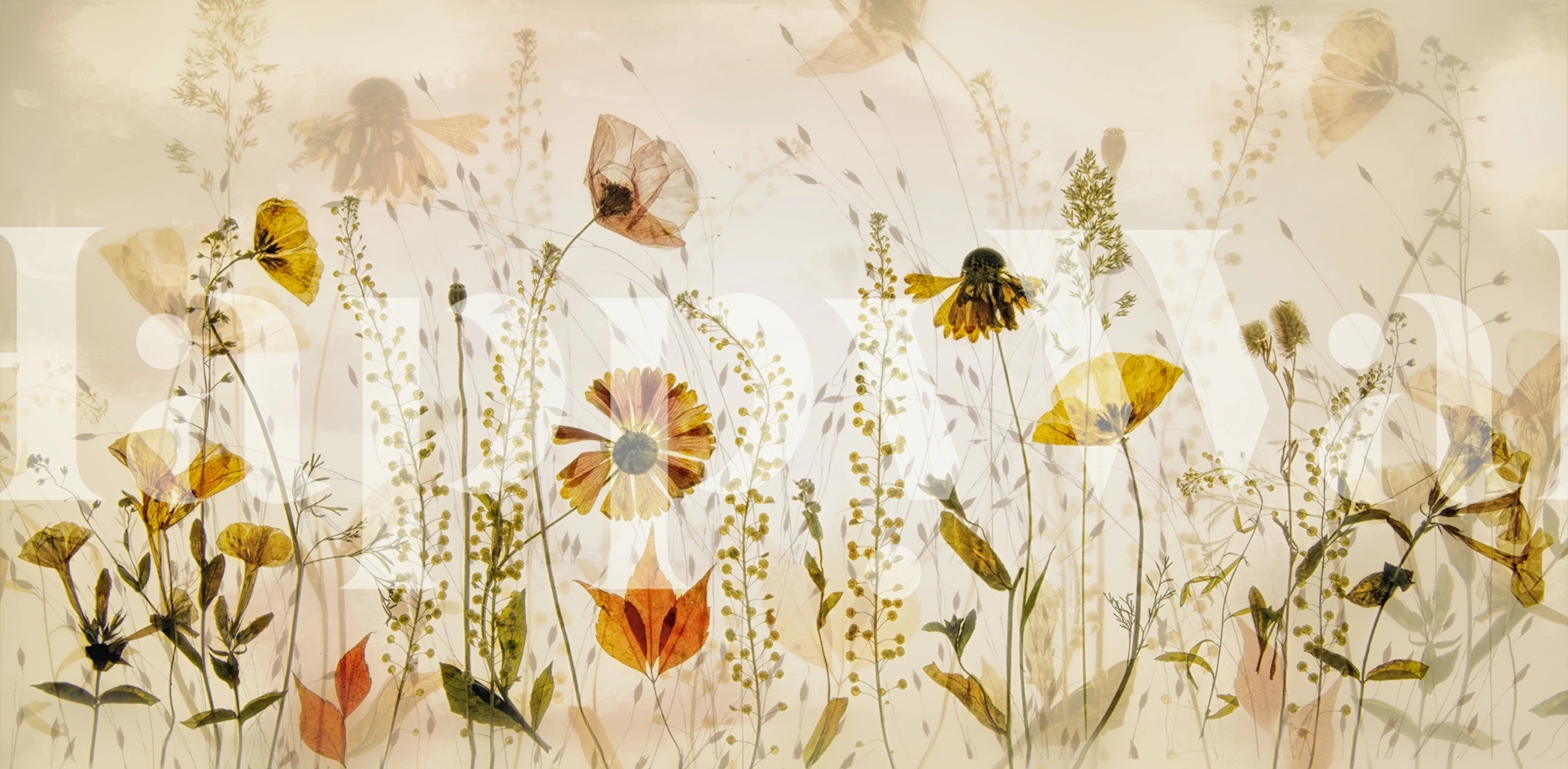 Floral wallpaper design in a room