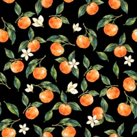 Black background orange fruit branches tapete