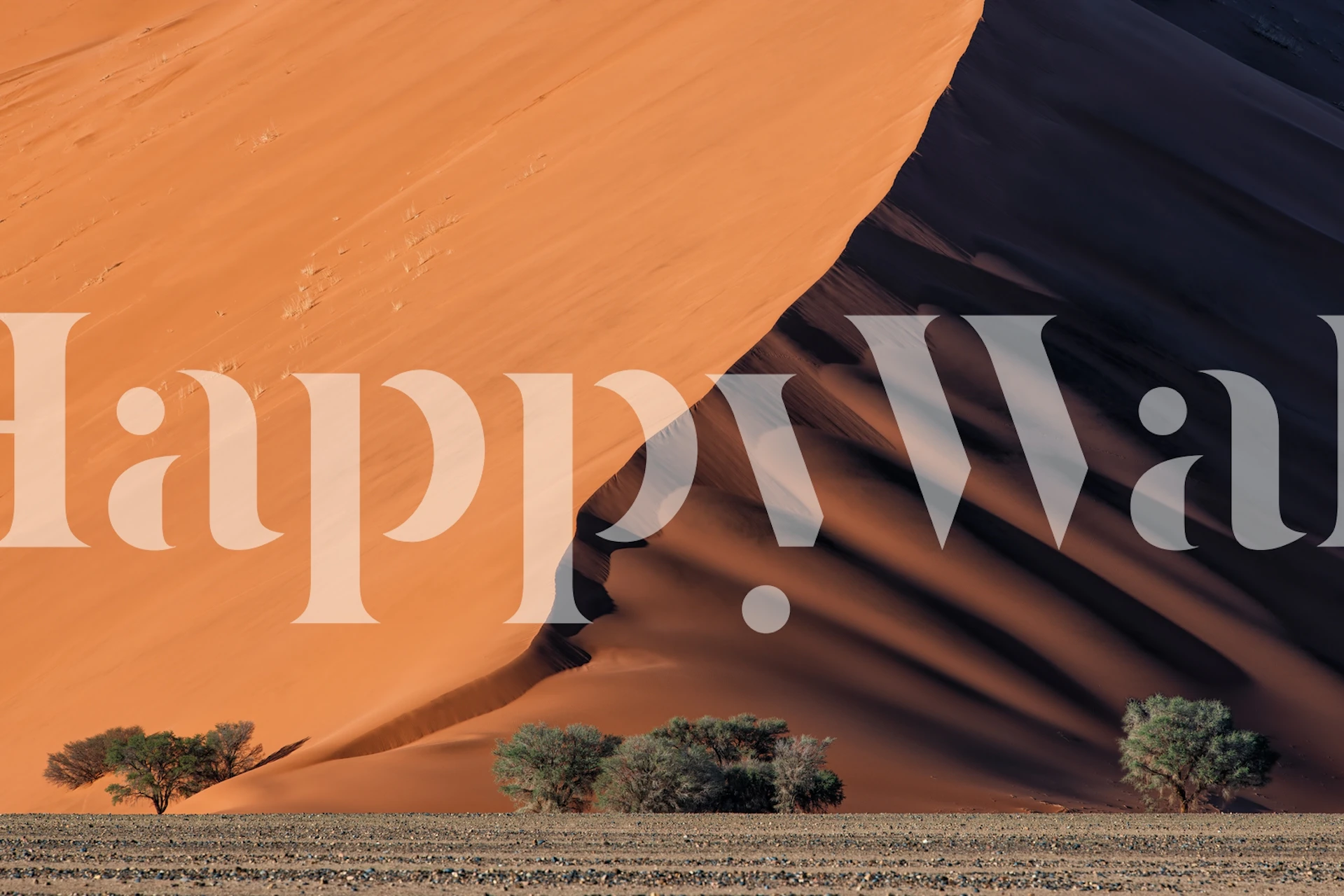 Ørkenlandskap tapet i et rom