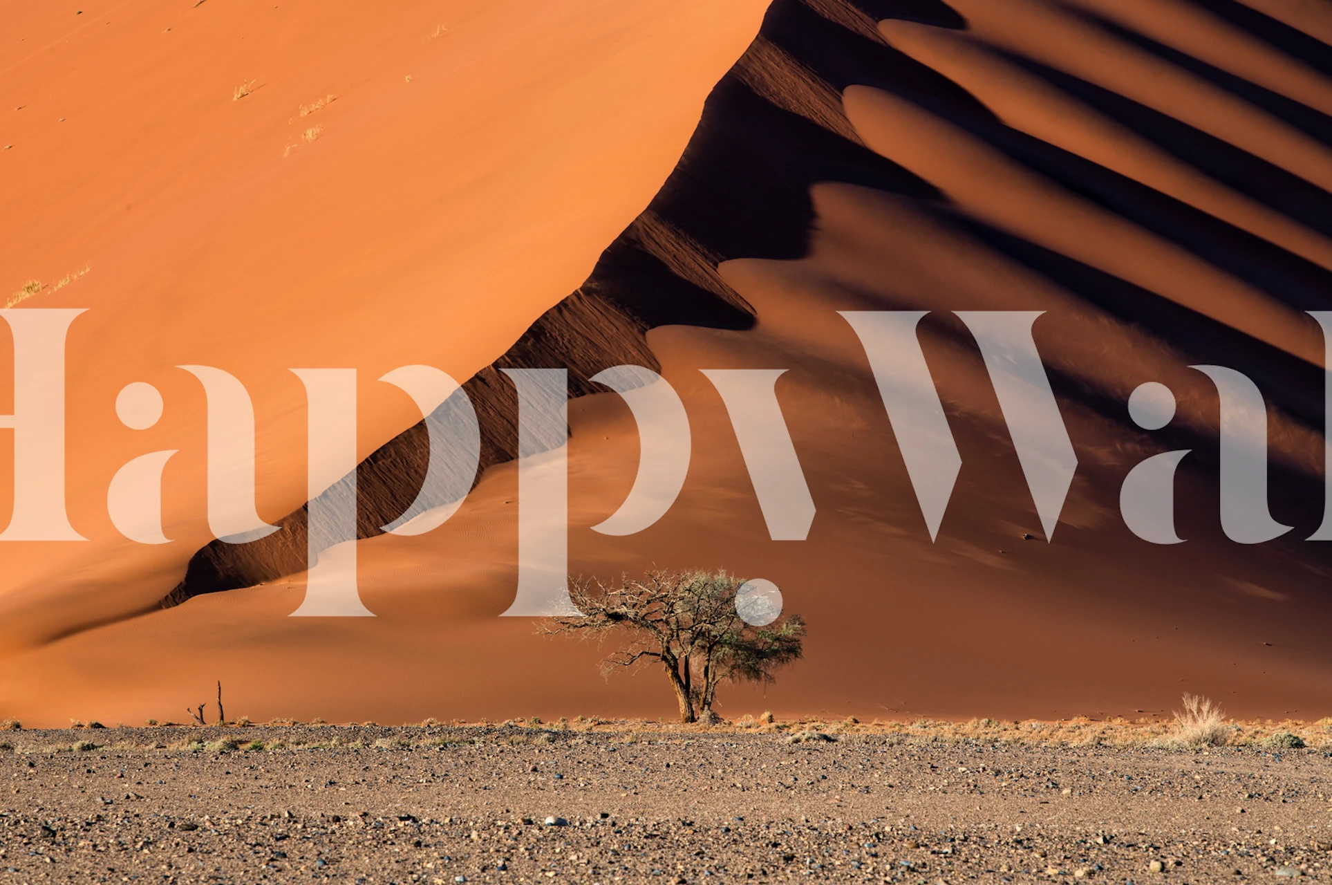 Desert dune with shadows and a lone tree wallpaper