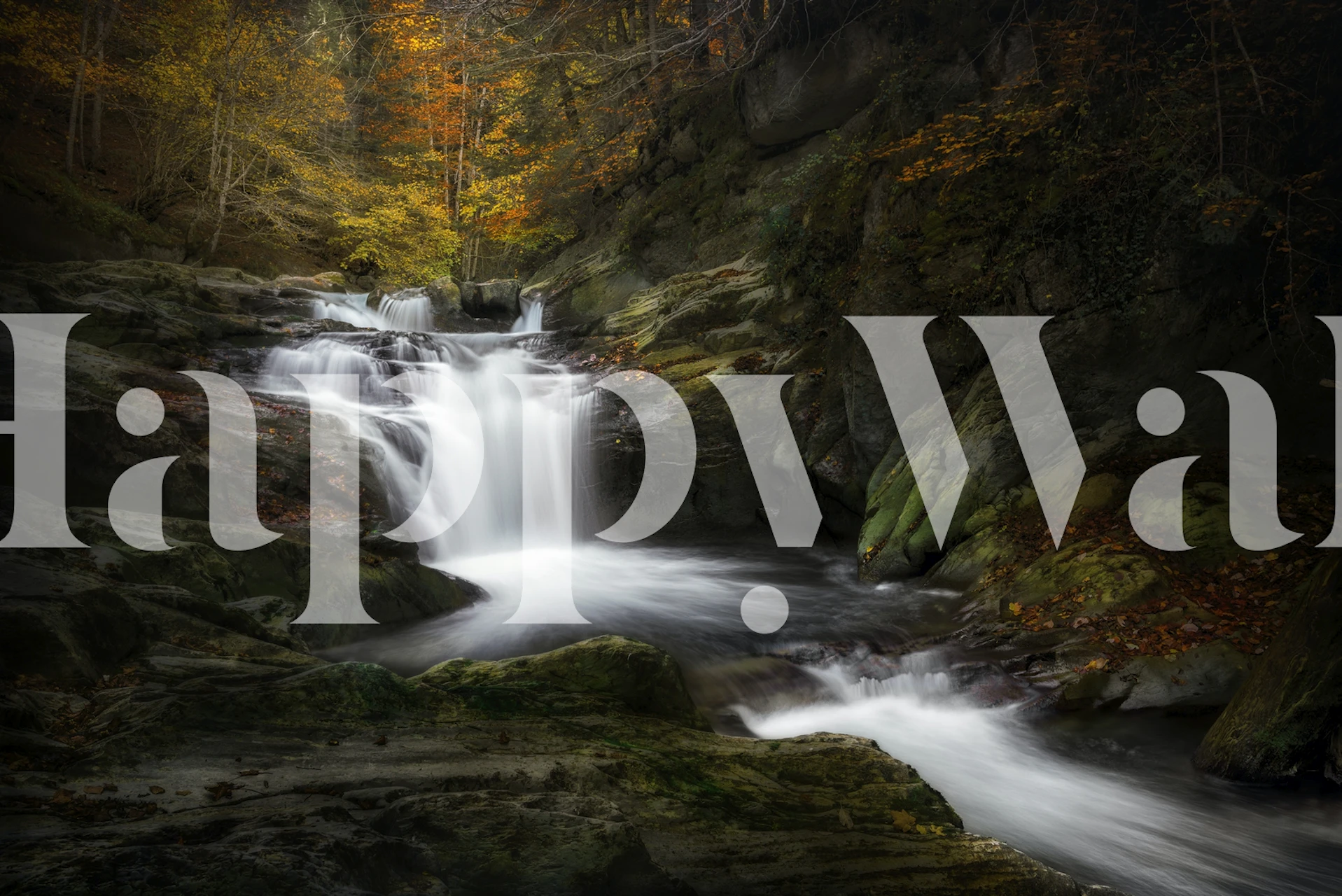 Papel pintado Irati jungle exhibido en una habitación