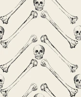 Herringbone Bones black ivory tapete