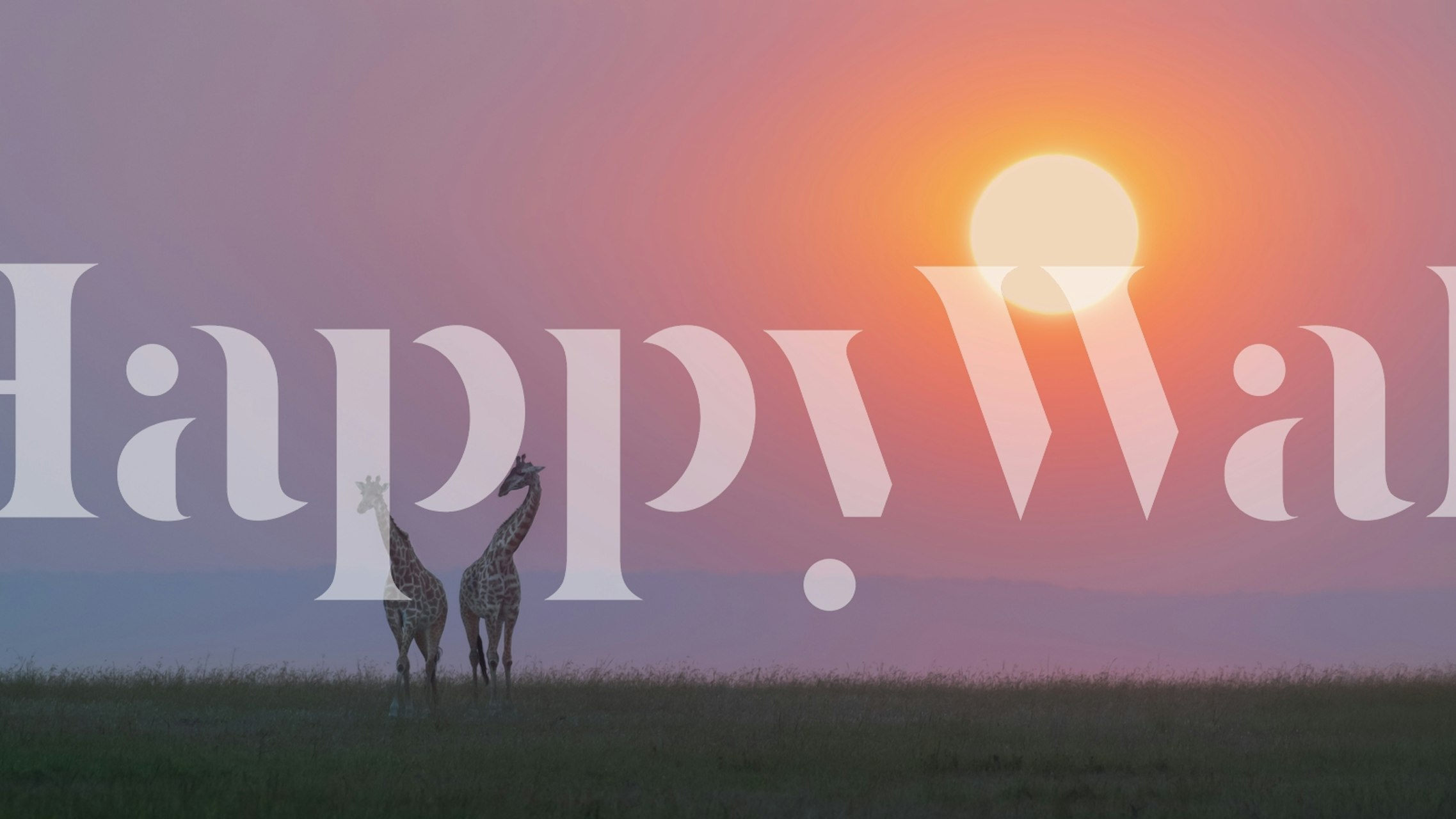 Sunset love wallpaper displayed in a room