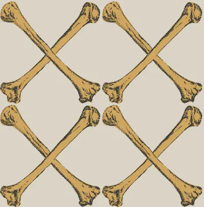 Motif