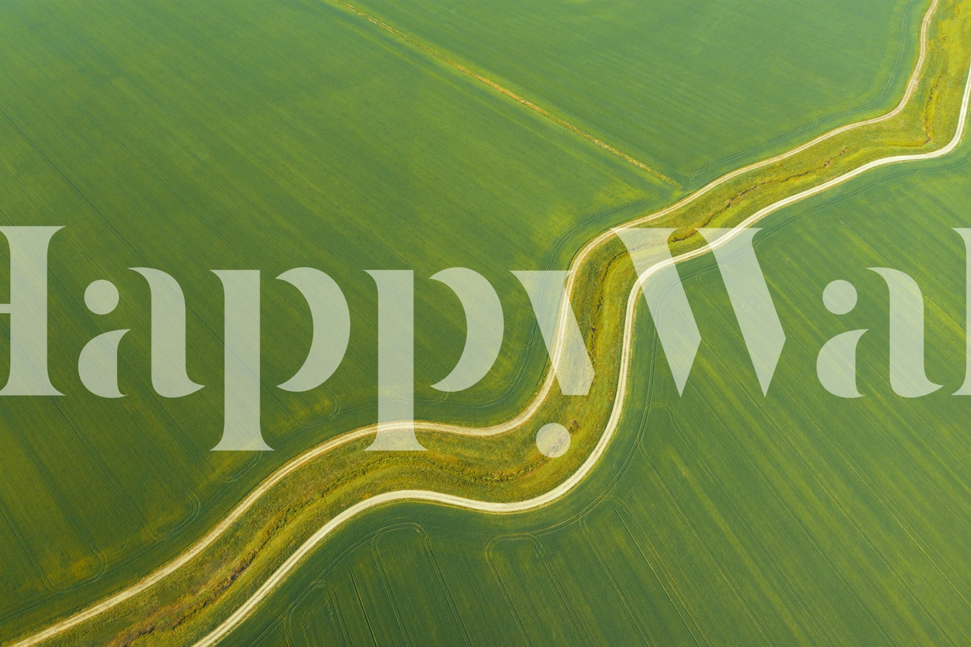 Papel de parede Prekmurje com paisagem verde