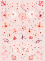 Flower Collage Soft Peach Blush Cosmos tapet