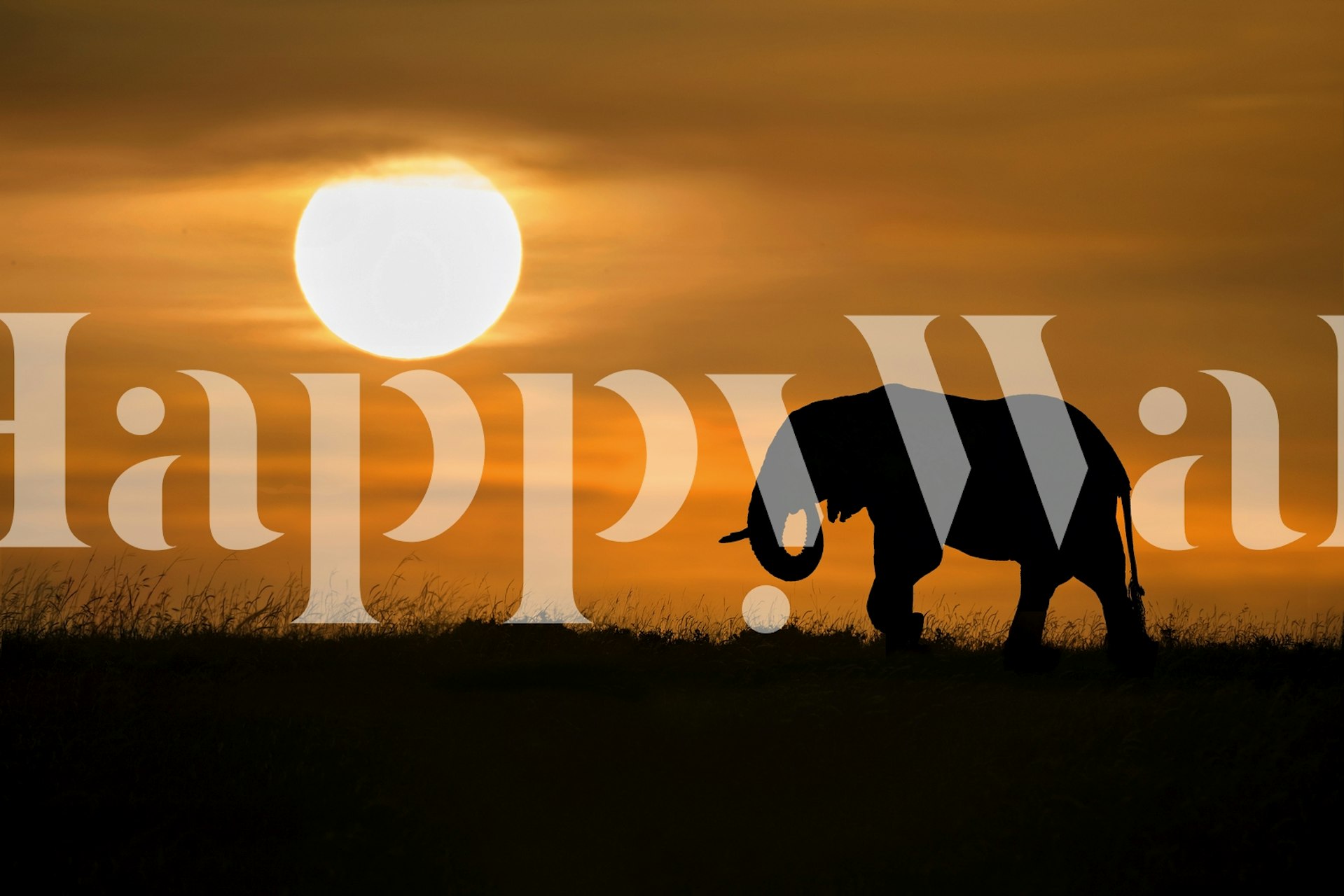 Silhouette of an elephant against a sunrise backdrop wall mural