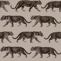 Taupe Jaguar papel pintado
