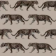 Taupe Jaguar