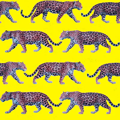 Pattern