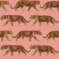 Taupe Jaguar 03 papel pintado
