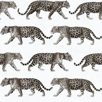Taupe Jaguar 04 papel pintado