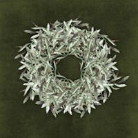 Olive Branch Wreath - Olive Green tapeta