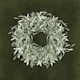 Olive Branch Wreath - Olive Green