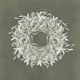 Olive Branch Wreath - Sage Green