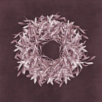 Olive Branch Wreath - Burgundy tapeta