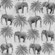 Pink Blue Elephants 02