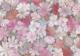 Aurelia Bold Pink