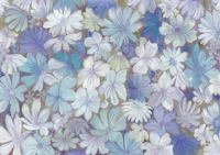 Aurelia Cerulean wallpaper