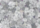 Aurelia Fog