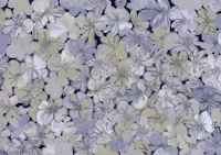 Brigida Moonlit Wisteria tapet