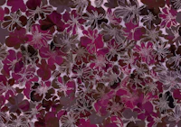Brigida Mulberry behang
