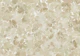 Brigida Parchment