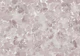 Brigida Rhodonite