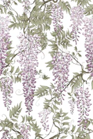 Wisteria pink white tapety