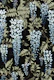 Wisteria blue black
