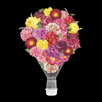 Blooming Balloon Dark papel de parede