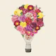 Blooming Balloon